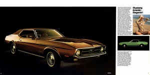 1971 Mustang (b)-06-07.jpg